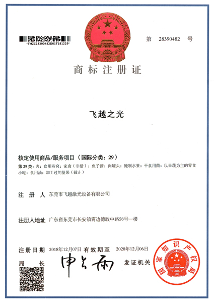飞越之光商标注册证书（五）