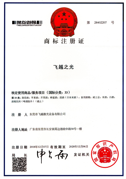 飞越之光商标注册证书（九）