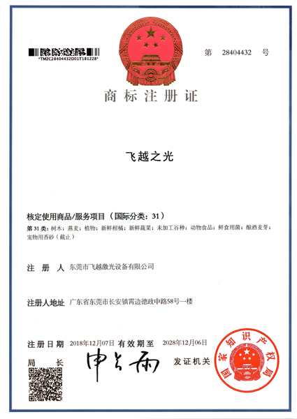 飞越之光商标注册证书（十）